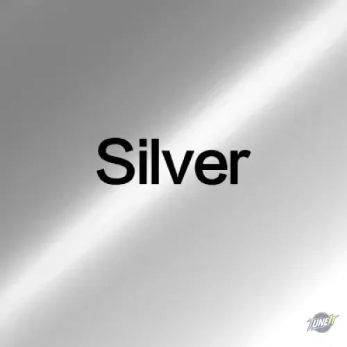 Aileron Arrière Noir pour Peugeot 206 pour une Apparence Sportive - Silver