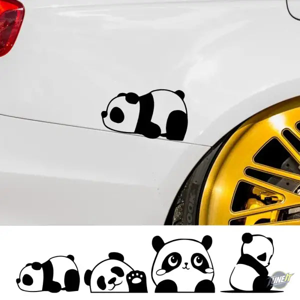 Autocollant Marmotte Panda Décoratif 2023 - Accessoires Tuning Auto - Autocollant